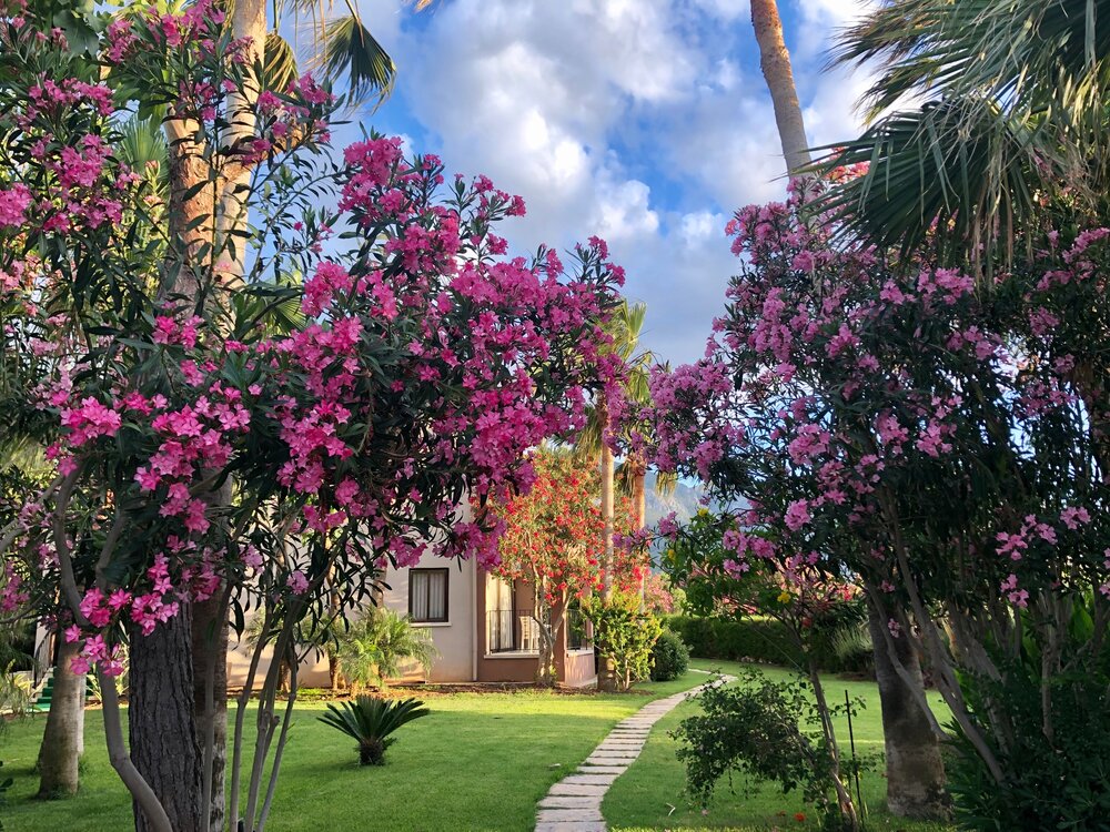 High Life Holiday Village