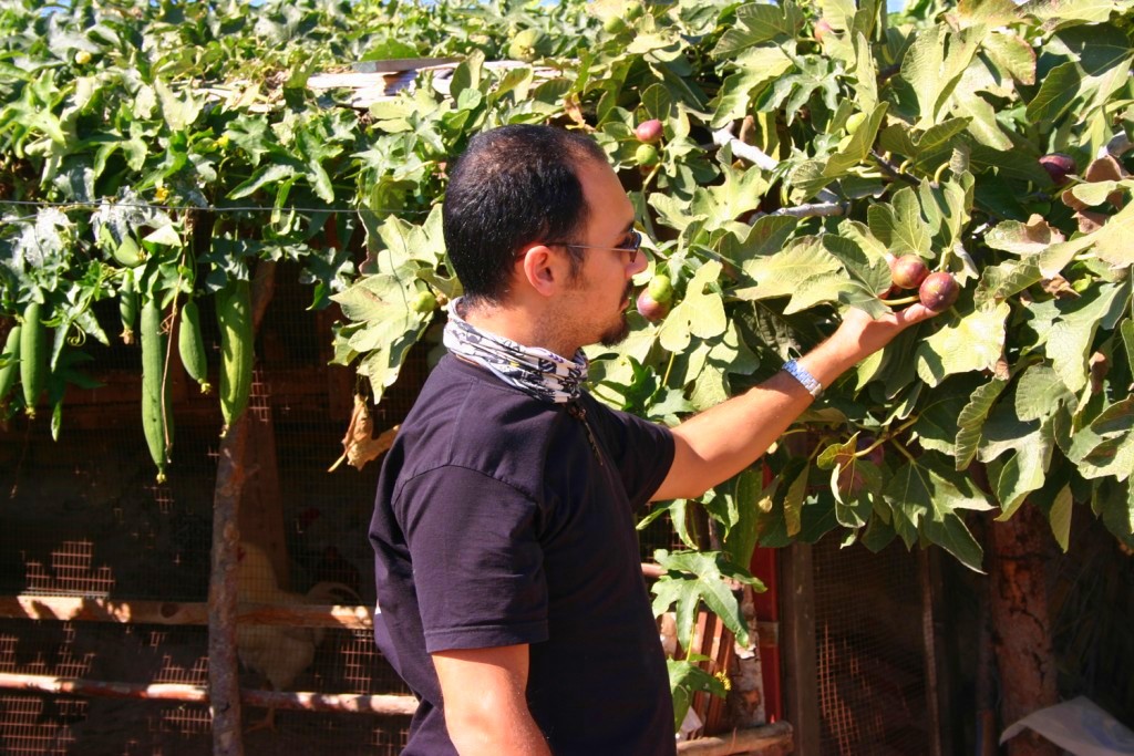 Nitovikla Garden Hotel   Cave Restaurant  An Authentic Cypriot Experience !