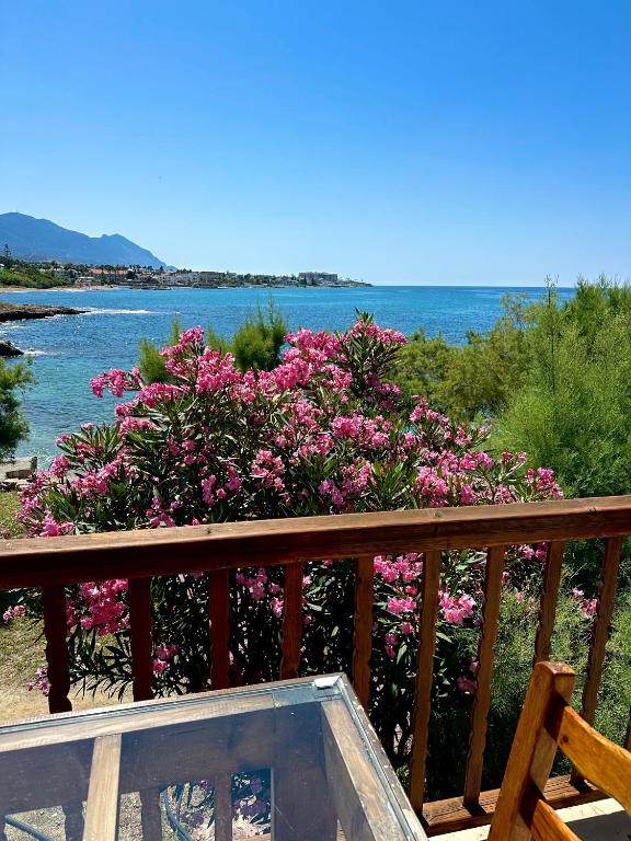 Riviera Beach Bungalows